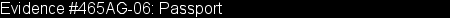 1313passport1.gif (2082 bytes)
