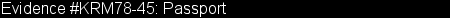 1313passport2.gif (2064 bytes)